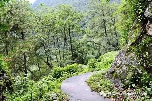 大脚车越野竞速